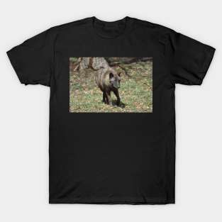 Black Wolf T-Shirt